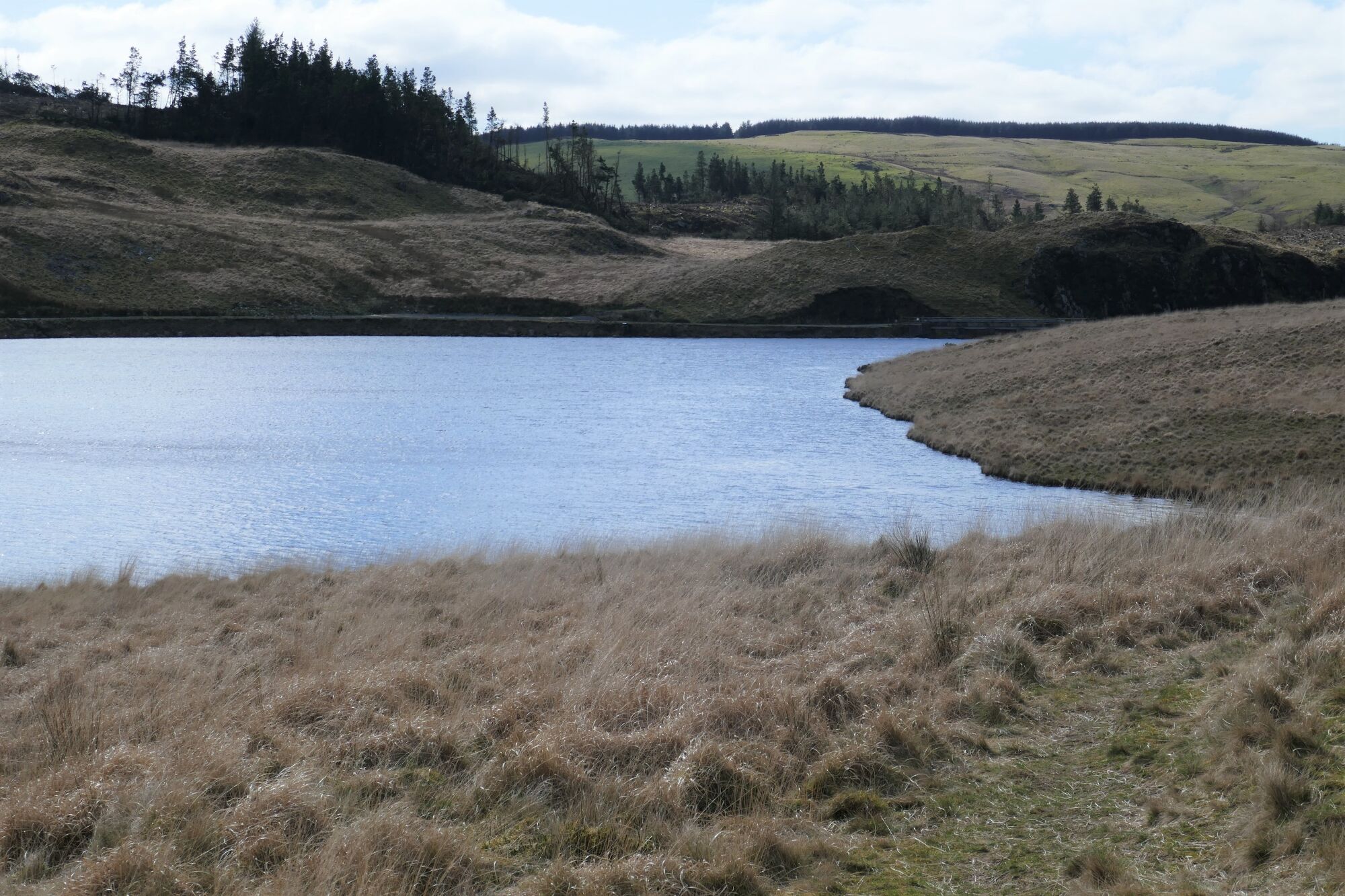 RachelSeabrook.net | Wild Walking | Cwm Cyneiniog and Craig y Pistyll | pic25